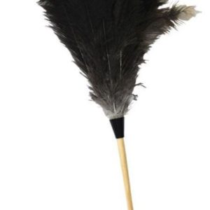 Feather Duster, 23"